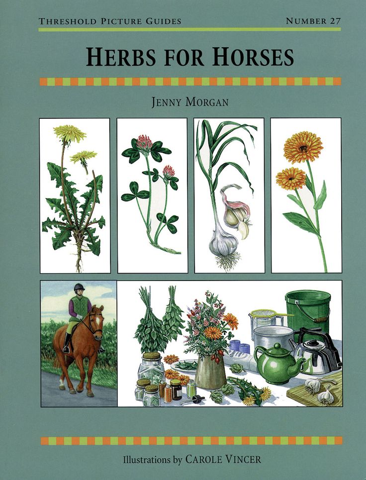 a guide to understanding herbal medicines