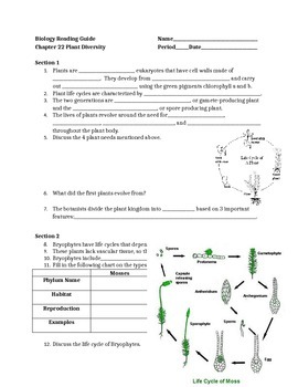 prentice hall chemistry guided reading and study workbook answer key