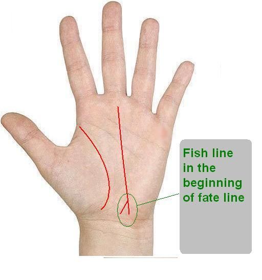 palm reading fate line guide