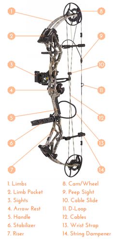 arrow guide for compound bow