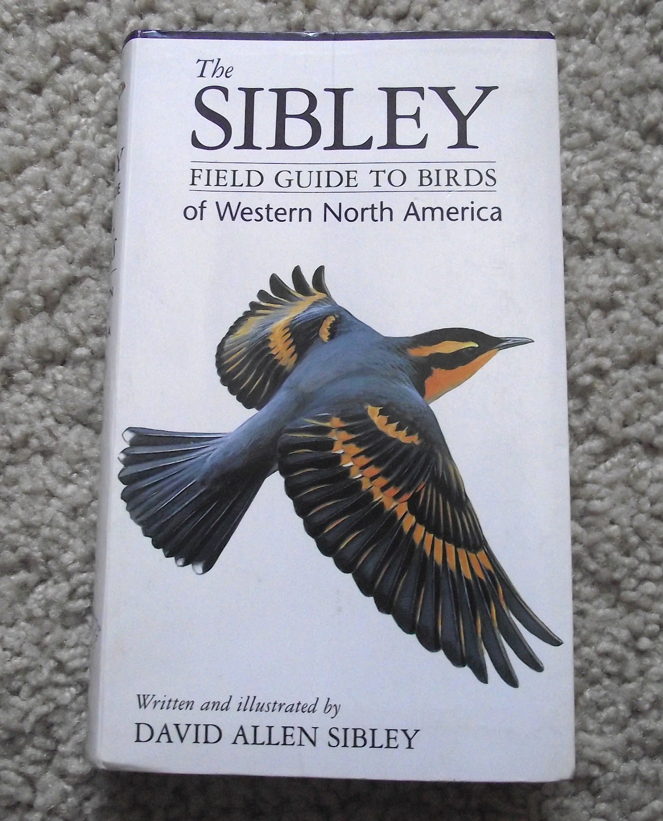 sibley field guide to birds of north america