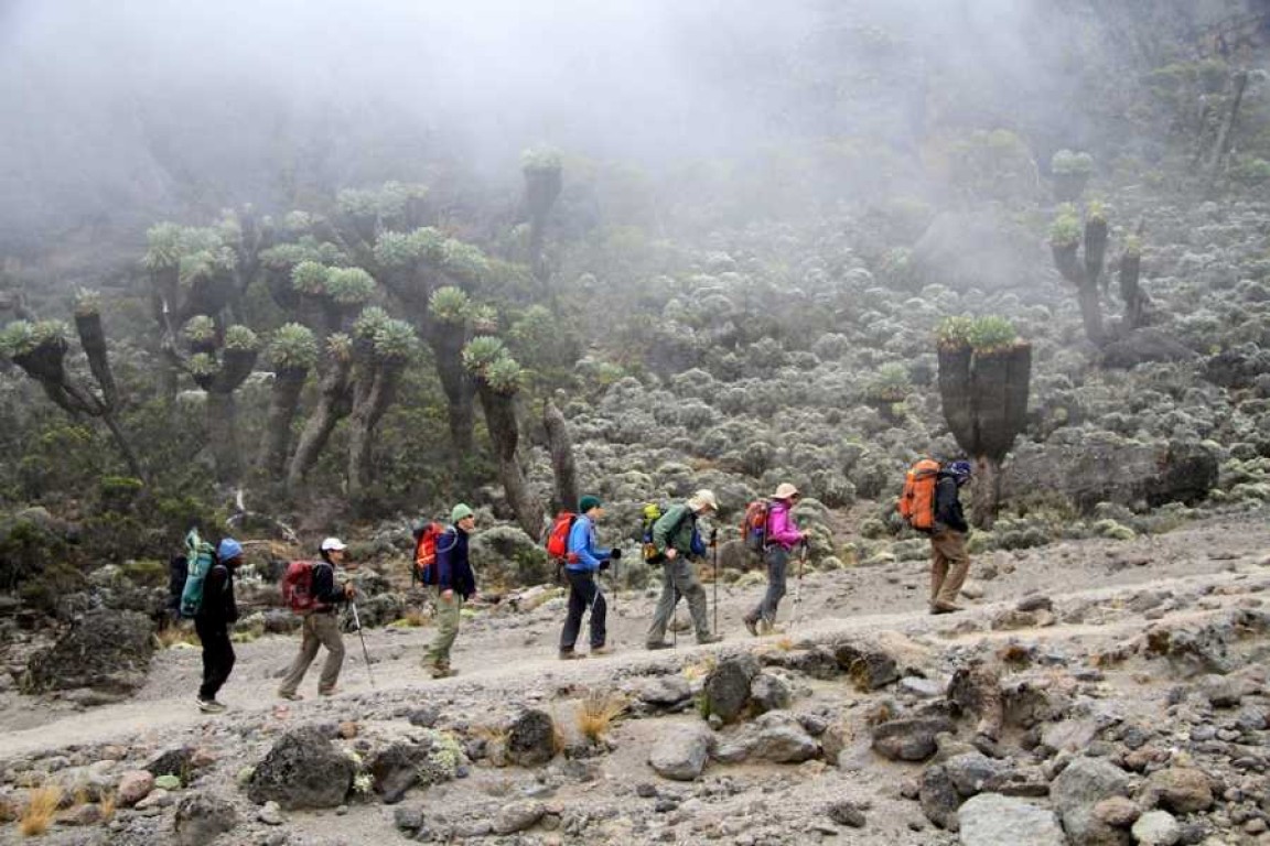 can you climb kilimanjaro without a guide