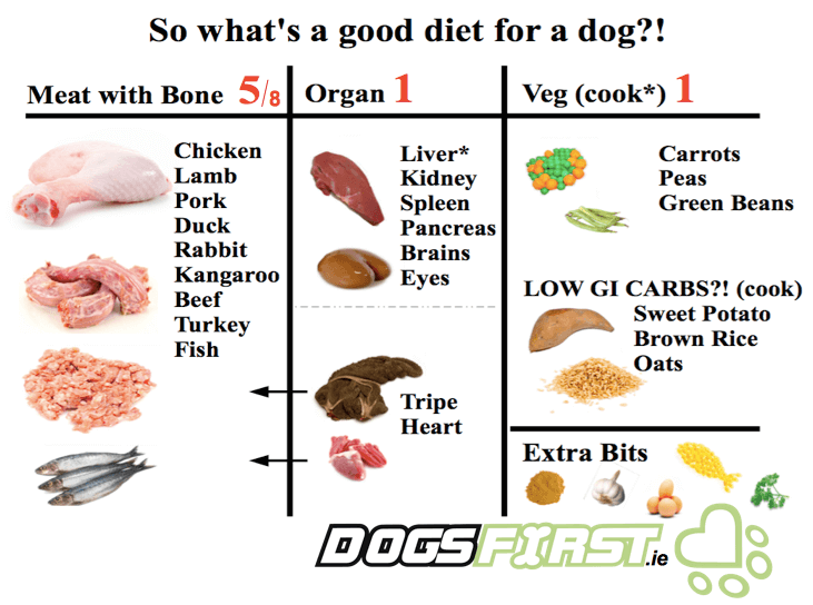 beef pro puppy feeding guide