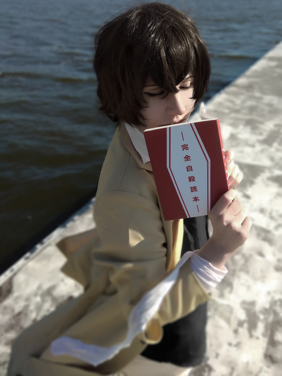 bungou stray dogs guide book
