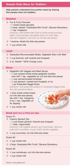daily food guide for toddlers