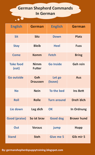 list of guide dog commands