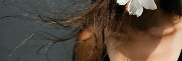 petals in the wind pdf