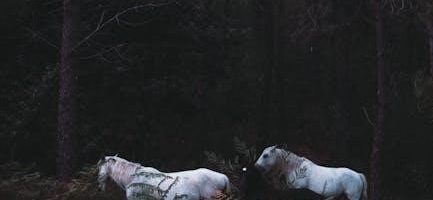 park after dark guide