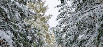 delta 3 way diverter valve instructions