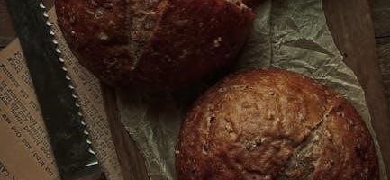 hamilton beach bread maker manual